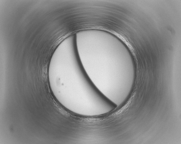 X0000116150897200912211506