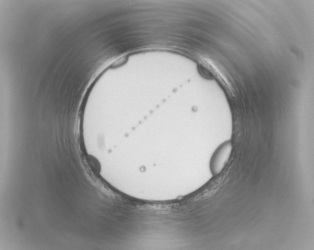 X0000116150900200912211506