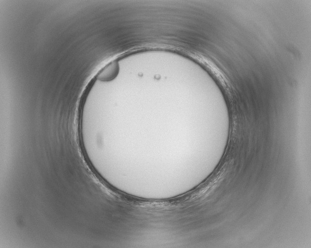 X0000116150902200912211506