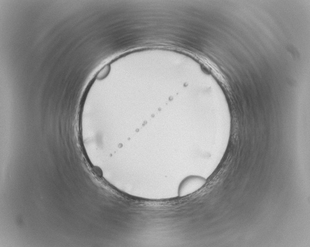 X0000116150904200912211506