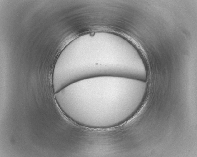 X0000116150905200912211506