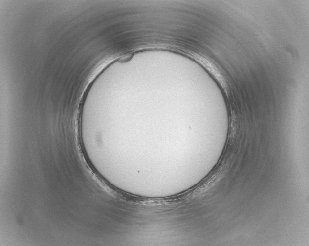 X0000116150906200912211506