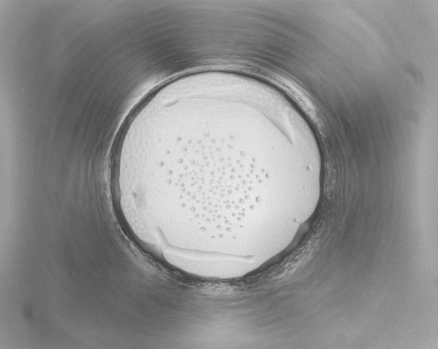 X0000116150907200912211506