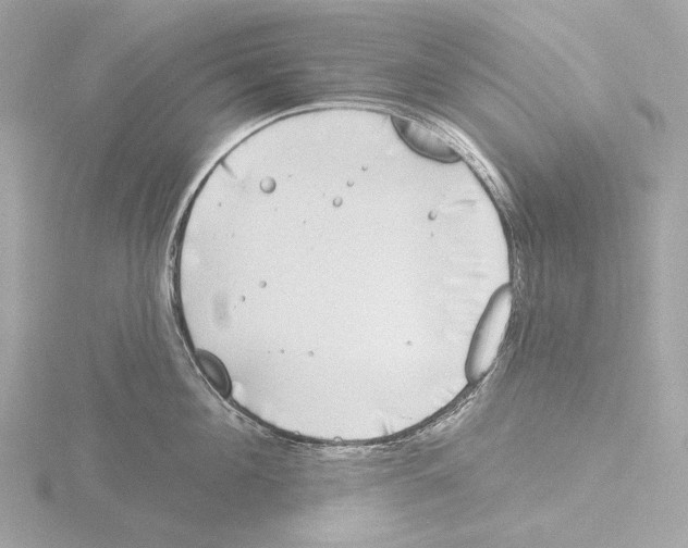 X0000116150908200912211506