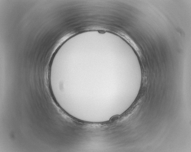 X0000116150909200912211506