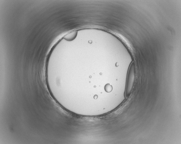 X0000116150910200912211506