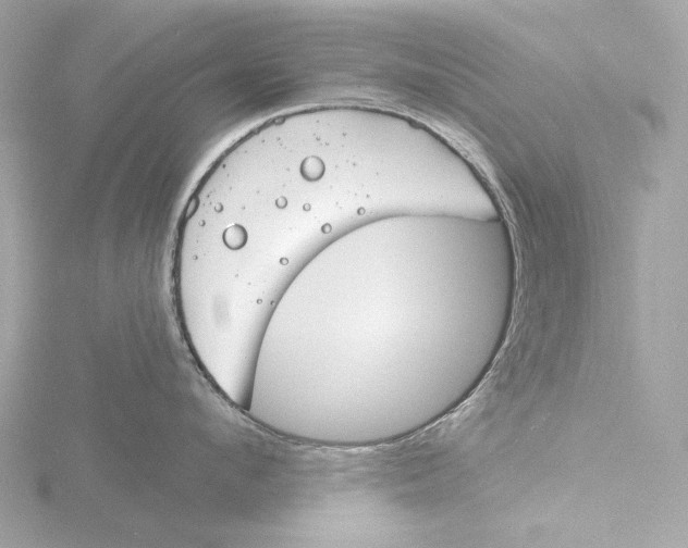 X0000116150912200912211506