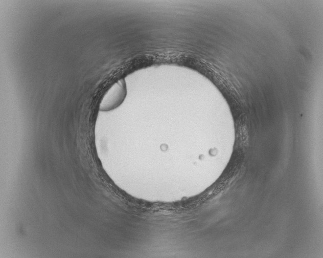 X0000116150913200912211505