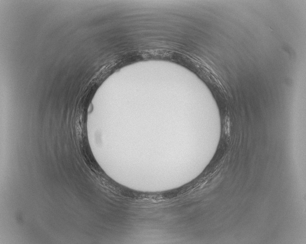 X0000116150915200912211506