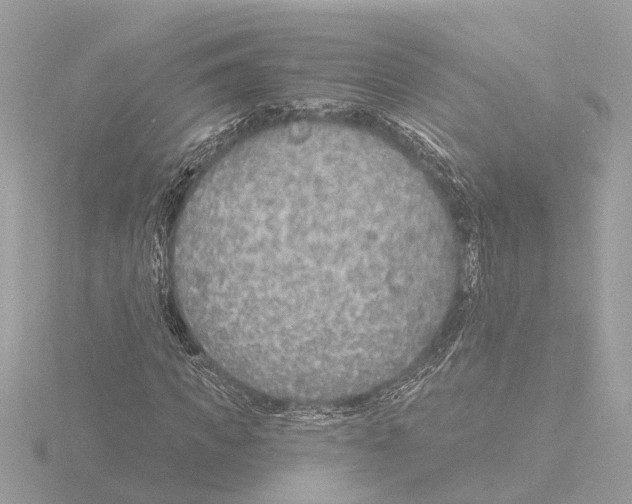 X0000116150917200912211506