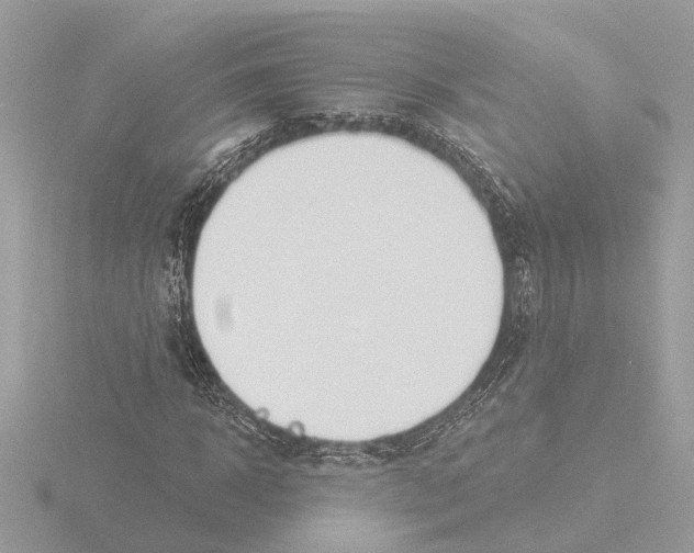 X0000116150918200912211506