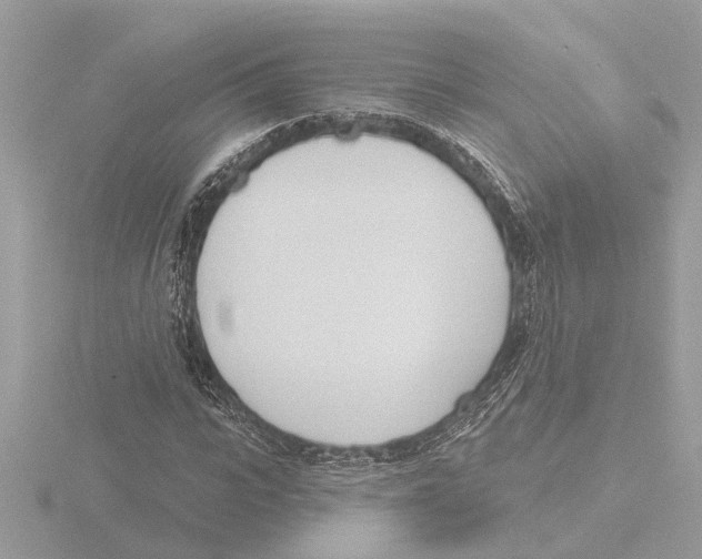 X0000116150919200912211506