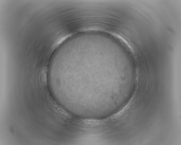 X0000116150921200912211506