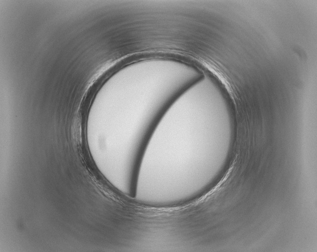 X0000116150925200912211506