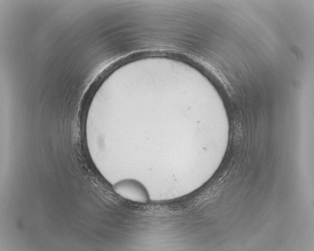 X0000116150927200912211506