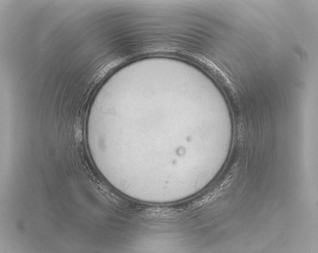 X0000116150929200912211506