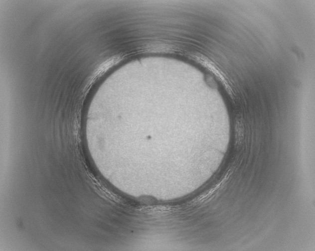 X0000116150930200912211506