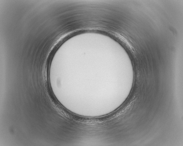 X0000116150934200912211506