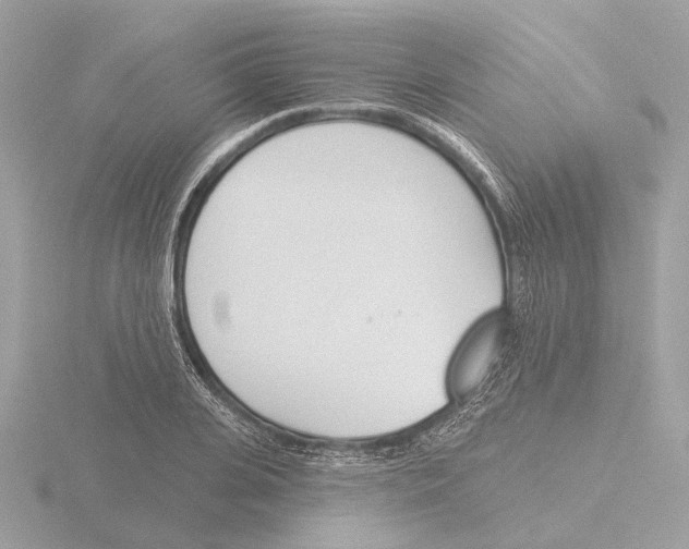 X0000116150935200912211506