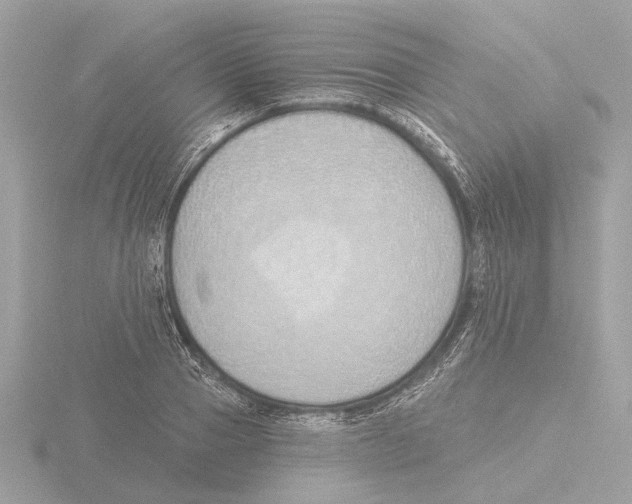 X0000116150937200912211506