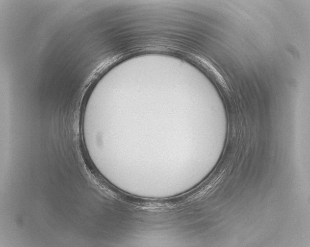 X0000116150938200912211506