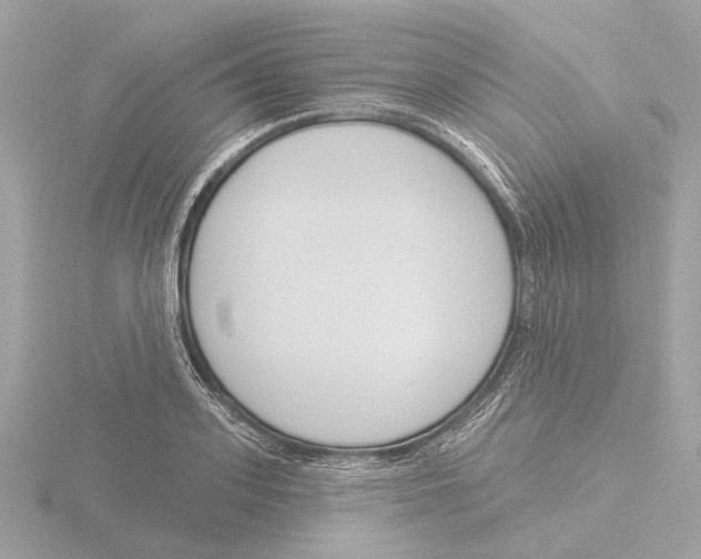 X0000116150939200912211506