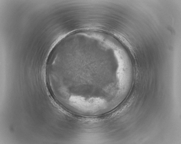 X0000116150941200912211506