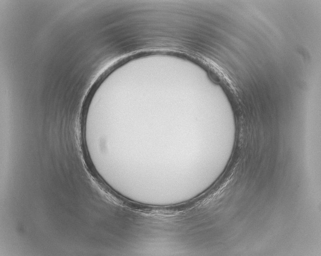 X0000116150942200912211506