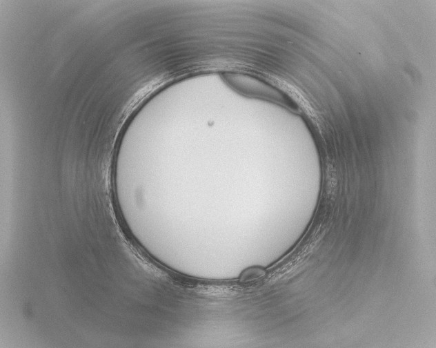 X0000116150946200912211506