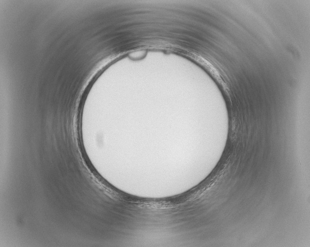 X0000116150947200912211506