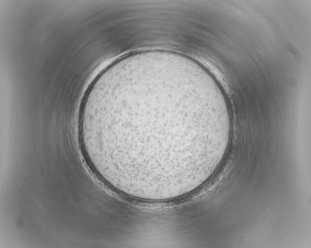 X0000116150949200912211506