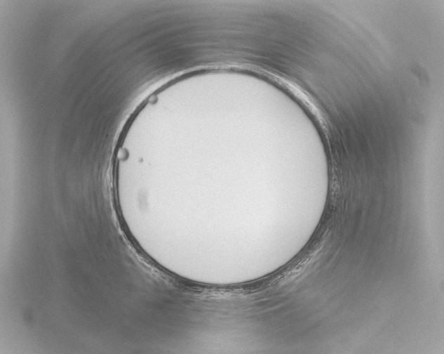 X0000116150951200912211506