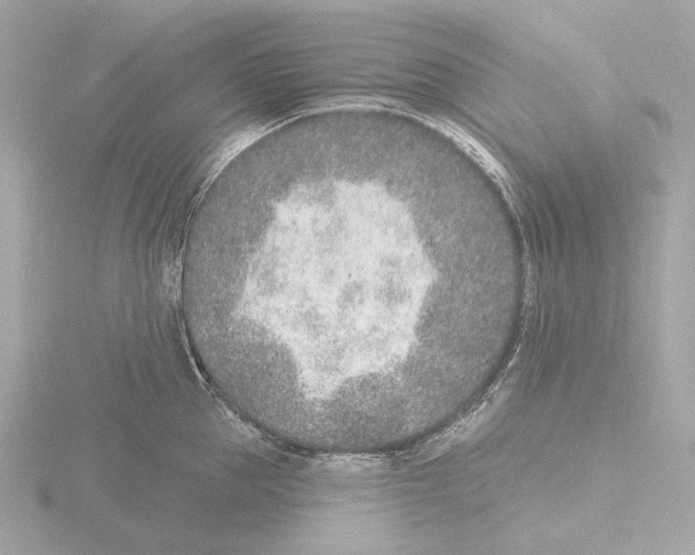 X0000116150953200912211506