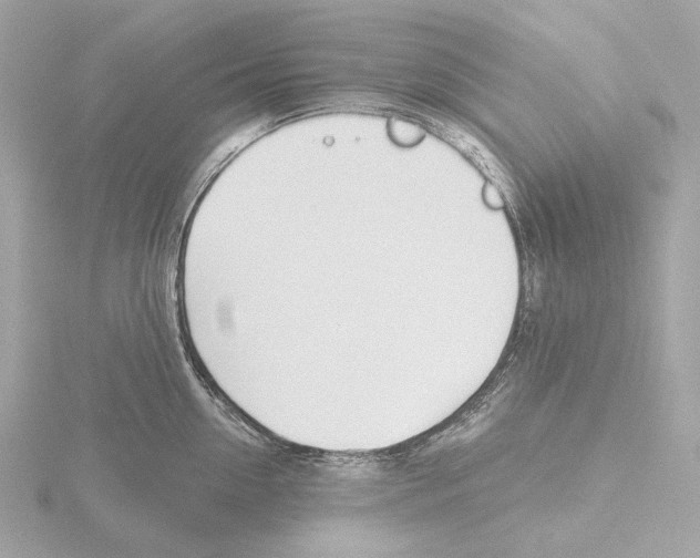 X0000116150954200912211506