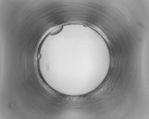 X0000116150955200912211506