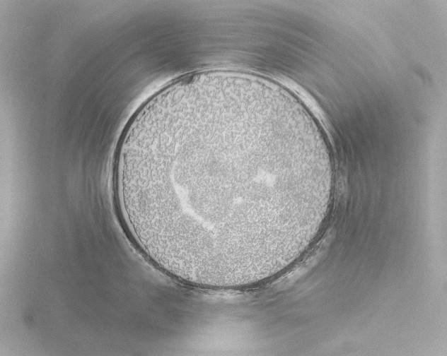 X0000116150957200912211506