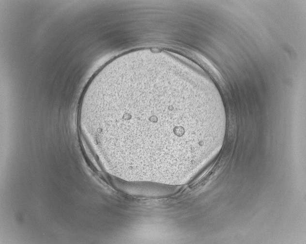 X0000116150958200912211506