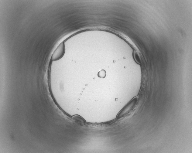 X0000116150959200912211506