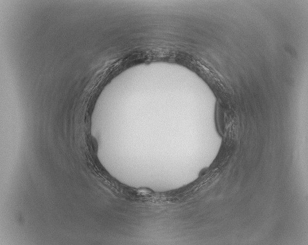 X0000116150961200912211505