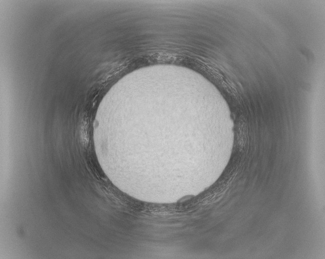 X0000116150962200912211505