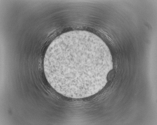 X0000116150964200912211505