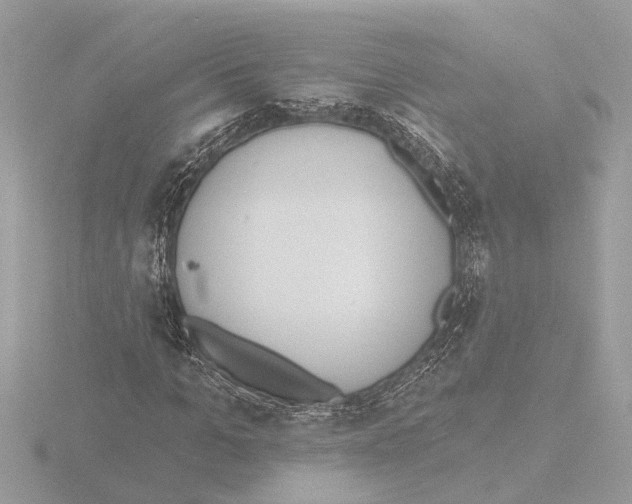 X0000116150965200912211505