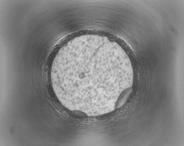 X0000116150968200912211505