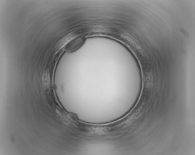 X0000116150969200912211505