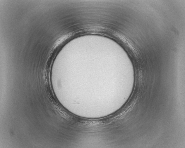 X0000116150970200912211505