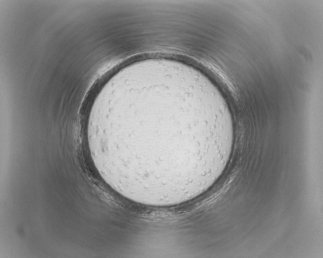 X0000116150974200912211505