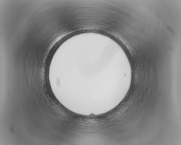 X0000116150975200912211505