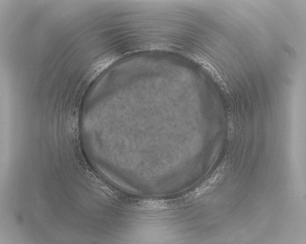 X0000116150977200912211505