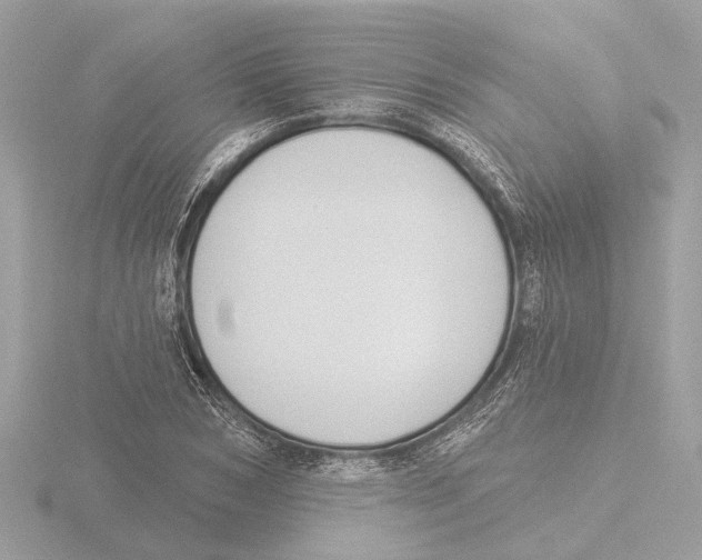 X0000116150978200912211505