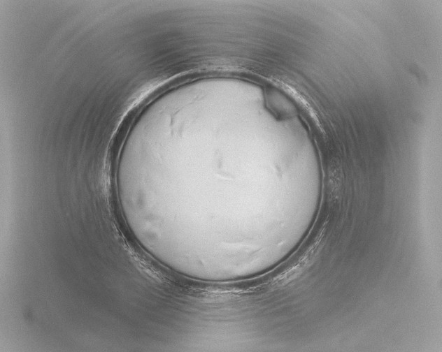 X0000116150981200912211505